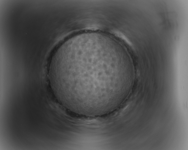 X0000089721256200707121424