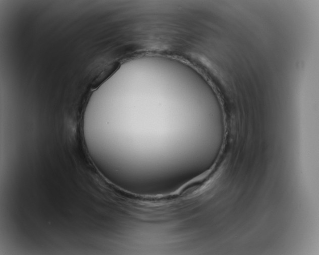 X0000089721257200707121424