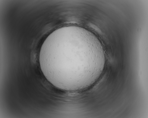 X0000089721258200707121424