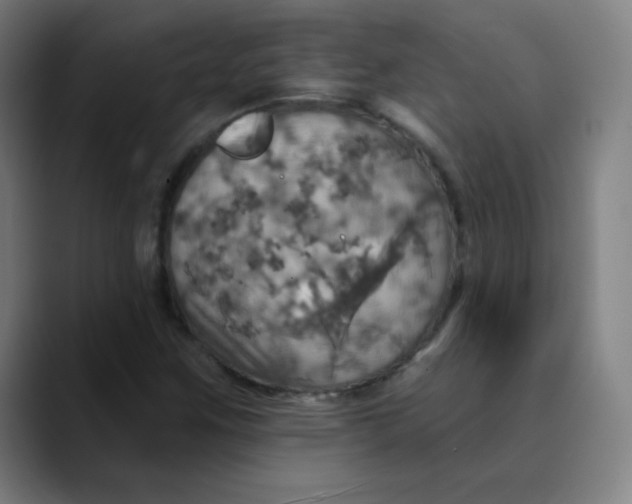 X0000089721259200707121424