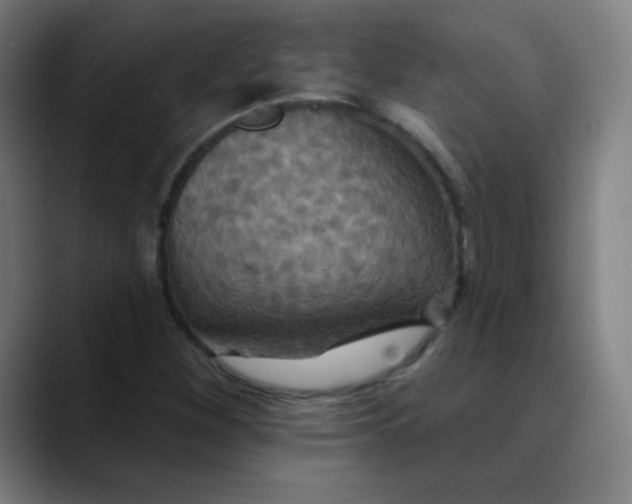 X0000089721260200707121424