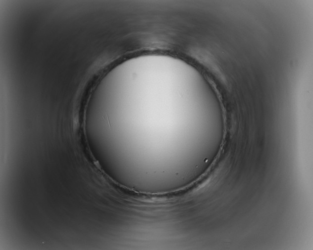 X0000089721261200707121424