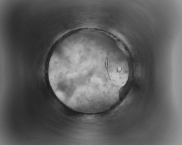 X0000089721264200707121424