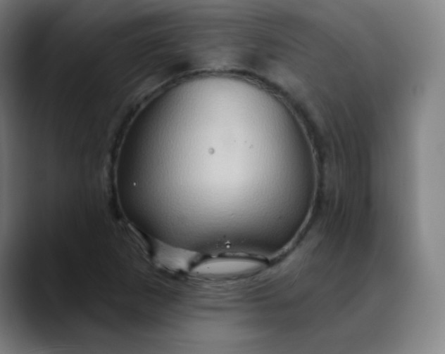 X0000089721265200707121424