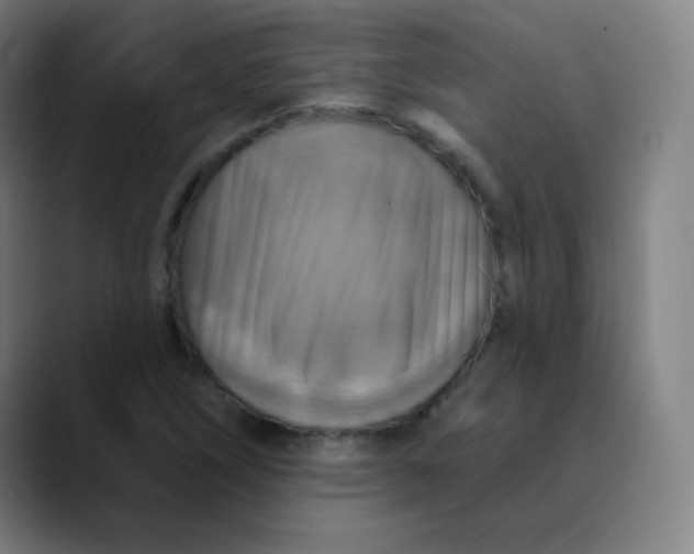 X0000089721266200707121424