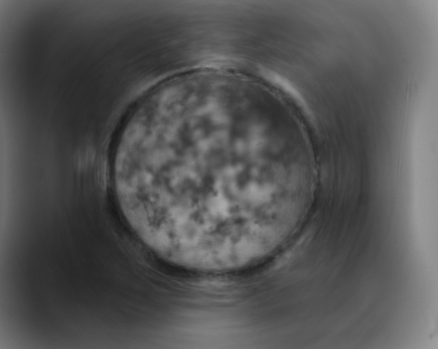 X0000089721267200707121424