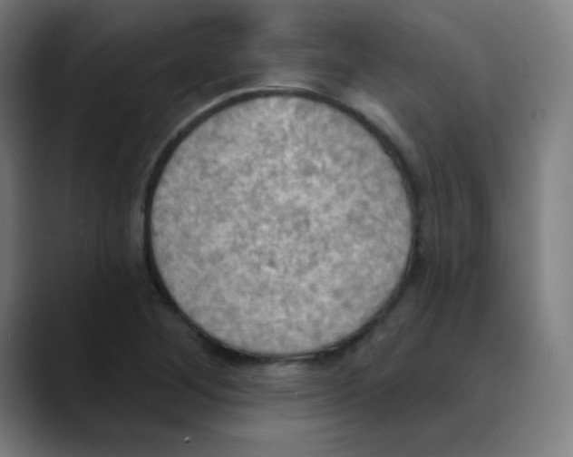 X0000089721268200707121424