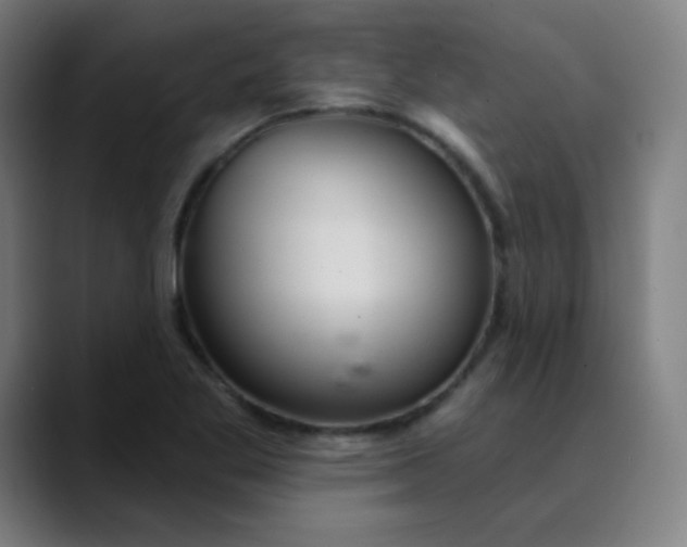 X0000089721269200707121424