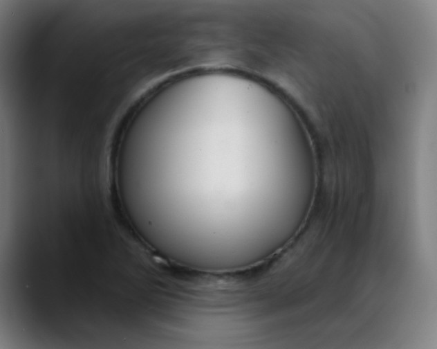 X0000089721270200707121424