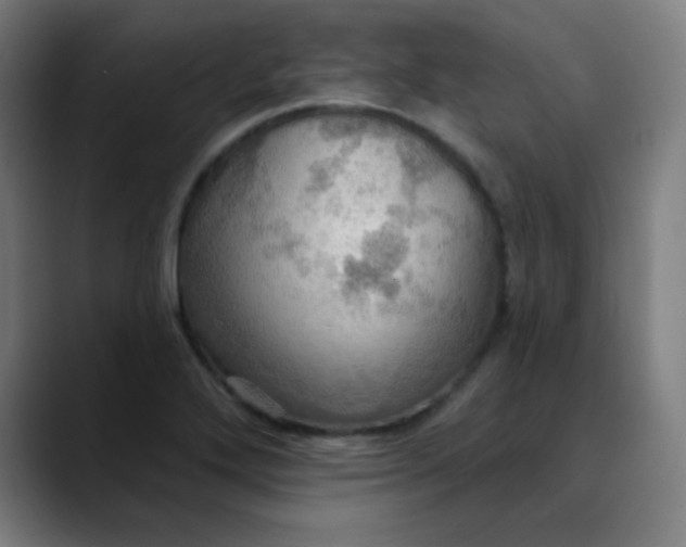 X0000089721272200707121424