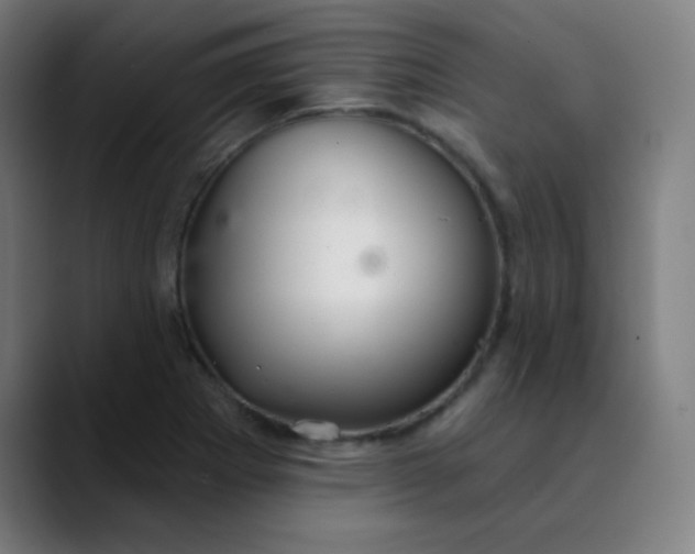 X0000089721273200707121424