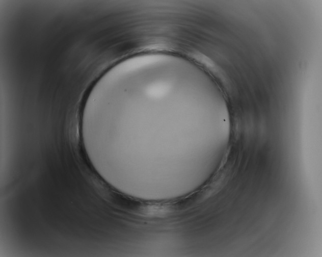 X0000089721274200707121424