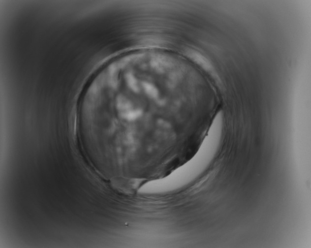 X0000089721275200707121424