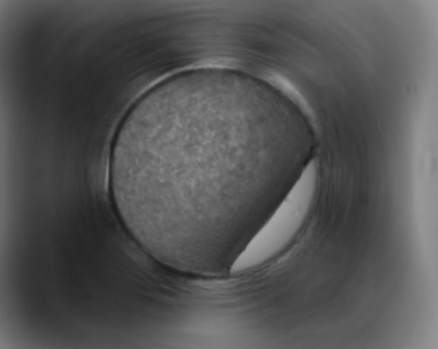 X0000089721276200707121424