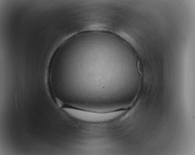 X0000089721277200707121424