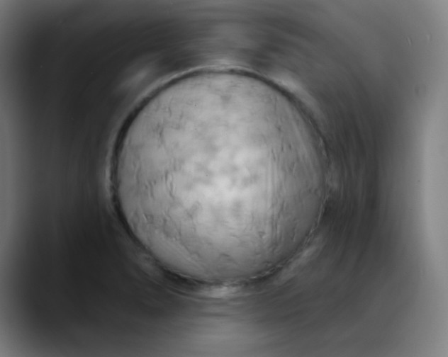 X0000089721278200707121424