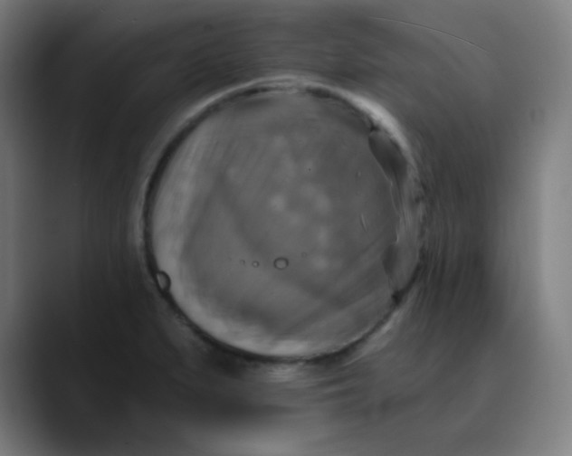 X0000089721279200707121424