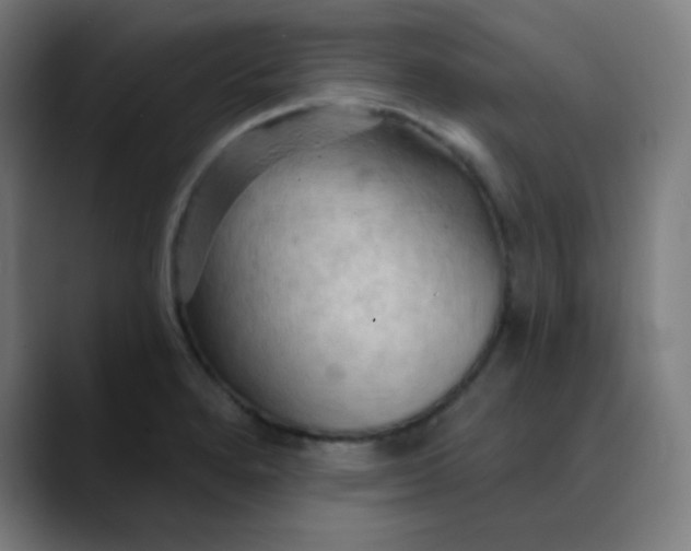 X0000089721280200707121424