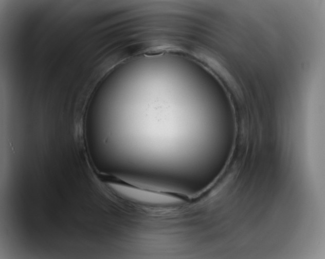 X0000089721281200707121424