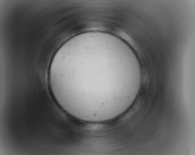 X0000089721282200707121424