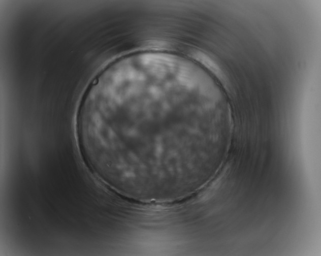 X0000089721283200707121424