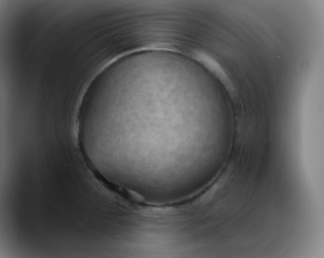 X0000089721284200707121424