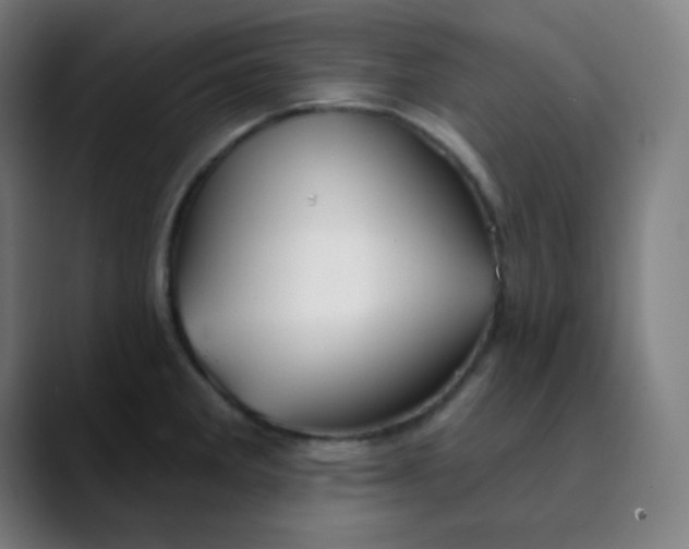 X0000089721285200707121424