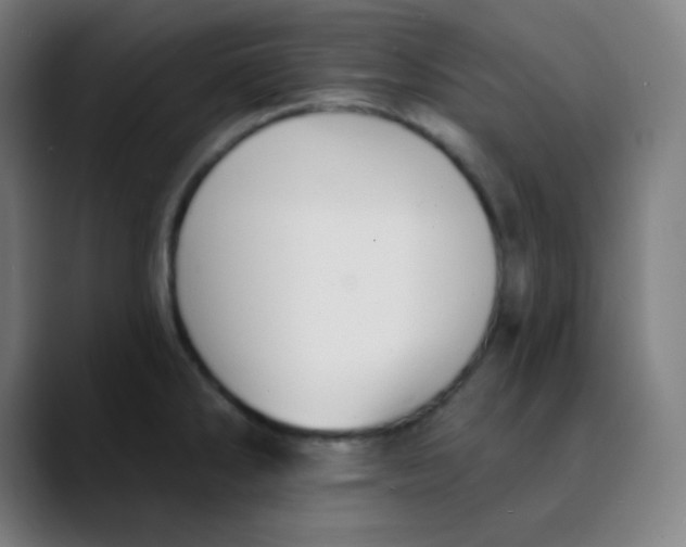 X0000089721286200707121424