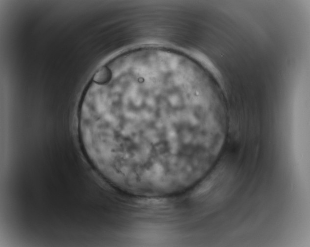 X0000089721287200707121424