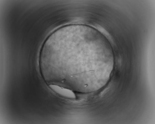 X0000089721288200707121424