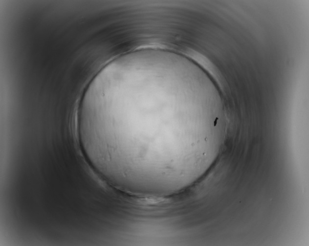 X0000089721290200707121424