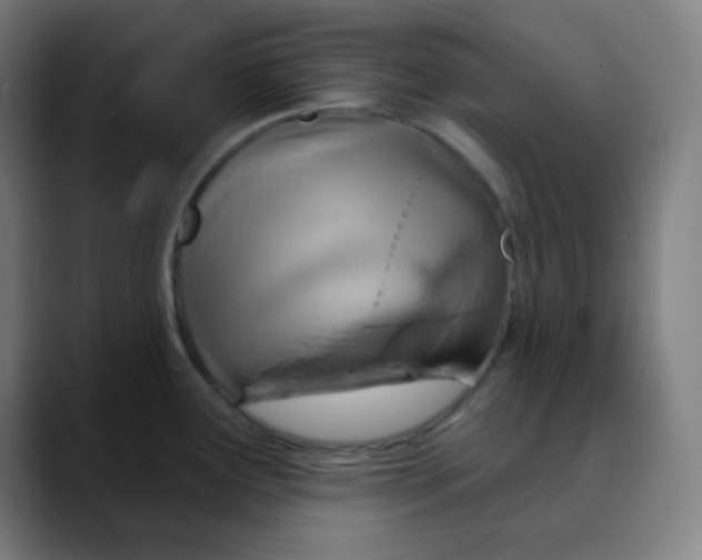 X0000089721291200707121424