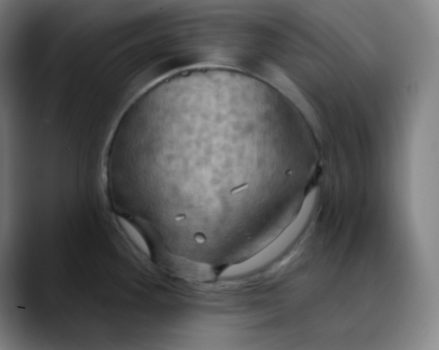 X0000089721292200707121424