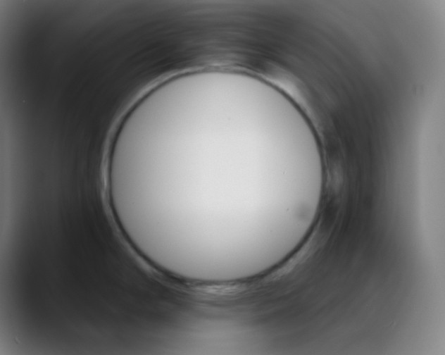 X0000089721294200707121424