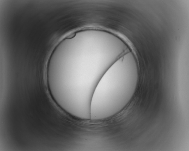 X0000089721295200707121424