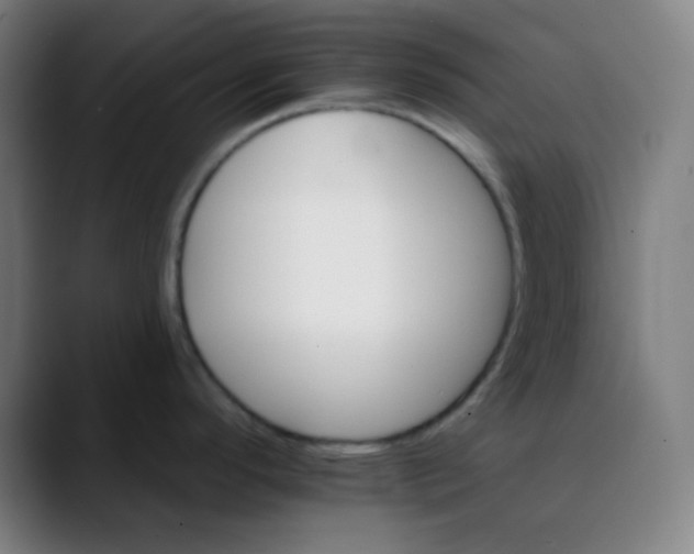 X0000089721296200707121424