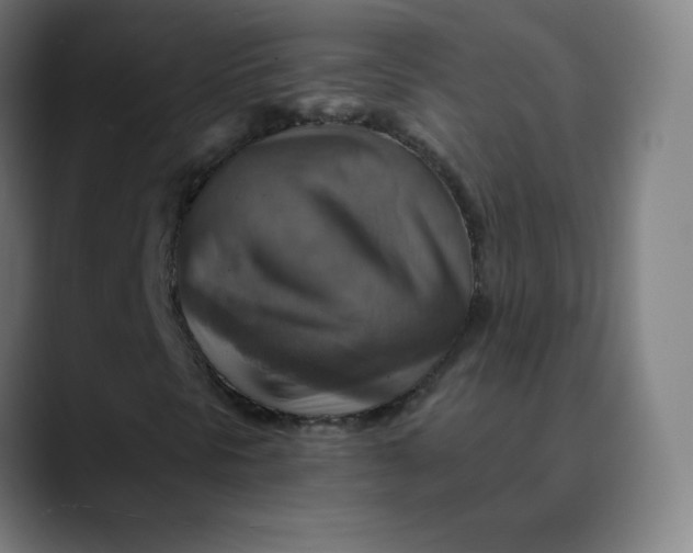 X0000089721297200707121423