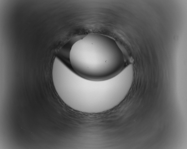 X0000089721298200707121423