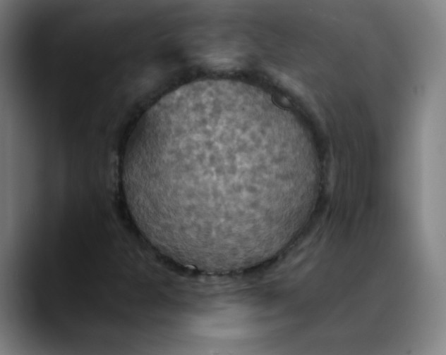 X0000089721301200707121423