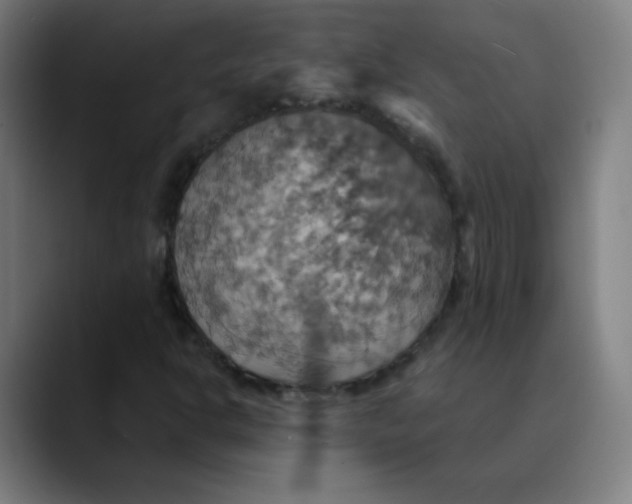 X0000089721302200707121423