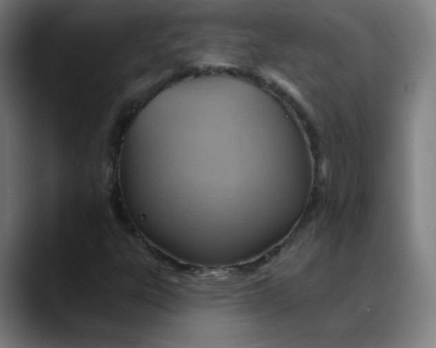 X0000089721303200707121423