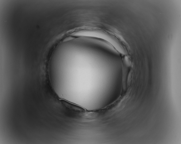 X0000089721304200707121423