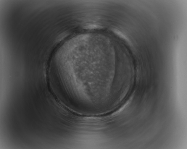 X0000089721305200707121423