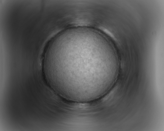 X0000089721309200707121423