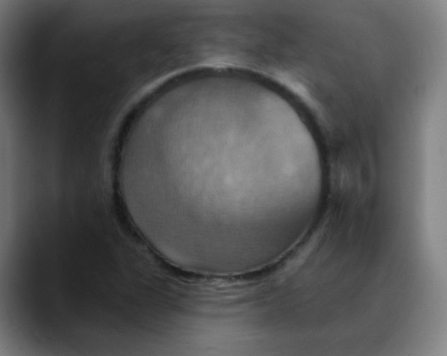 X0000089721311200707121423