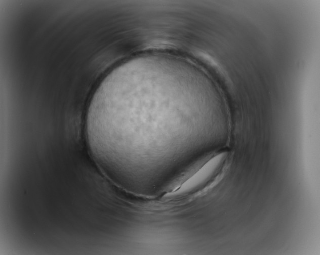 X0000089721313200707121423