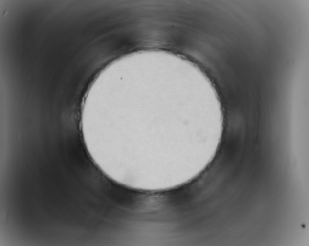 X0000089721314200707121423