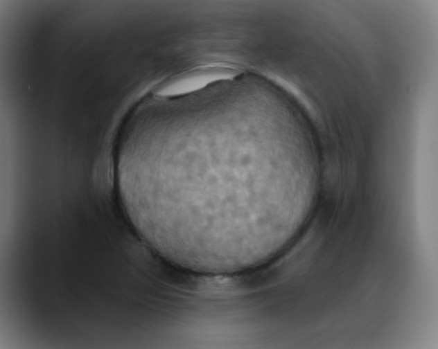 X0000089721317200707121423