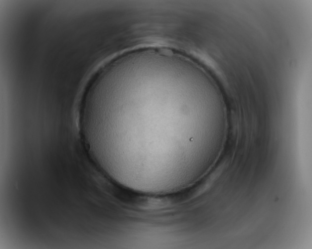 X0000089721318200707121424