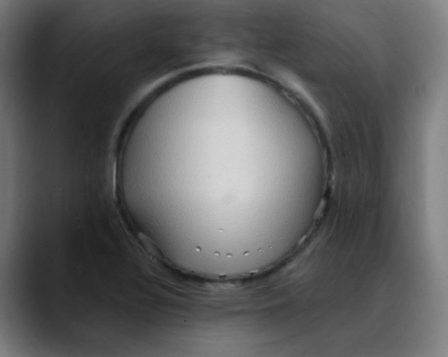 X0000089721320200707121424